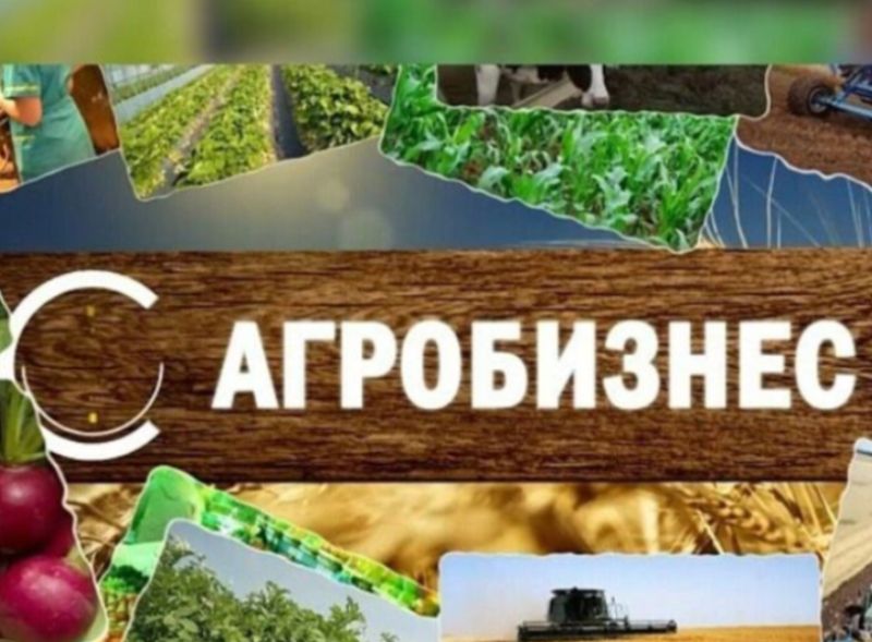 агробизнес.